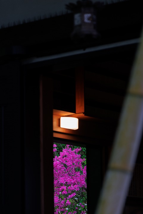 沼尾